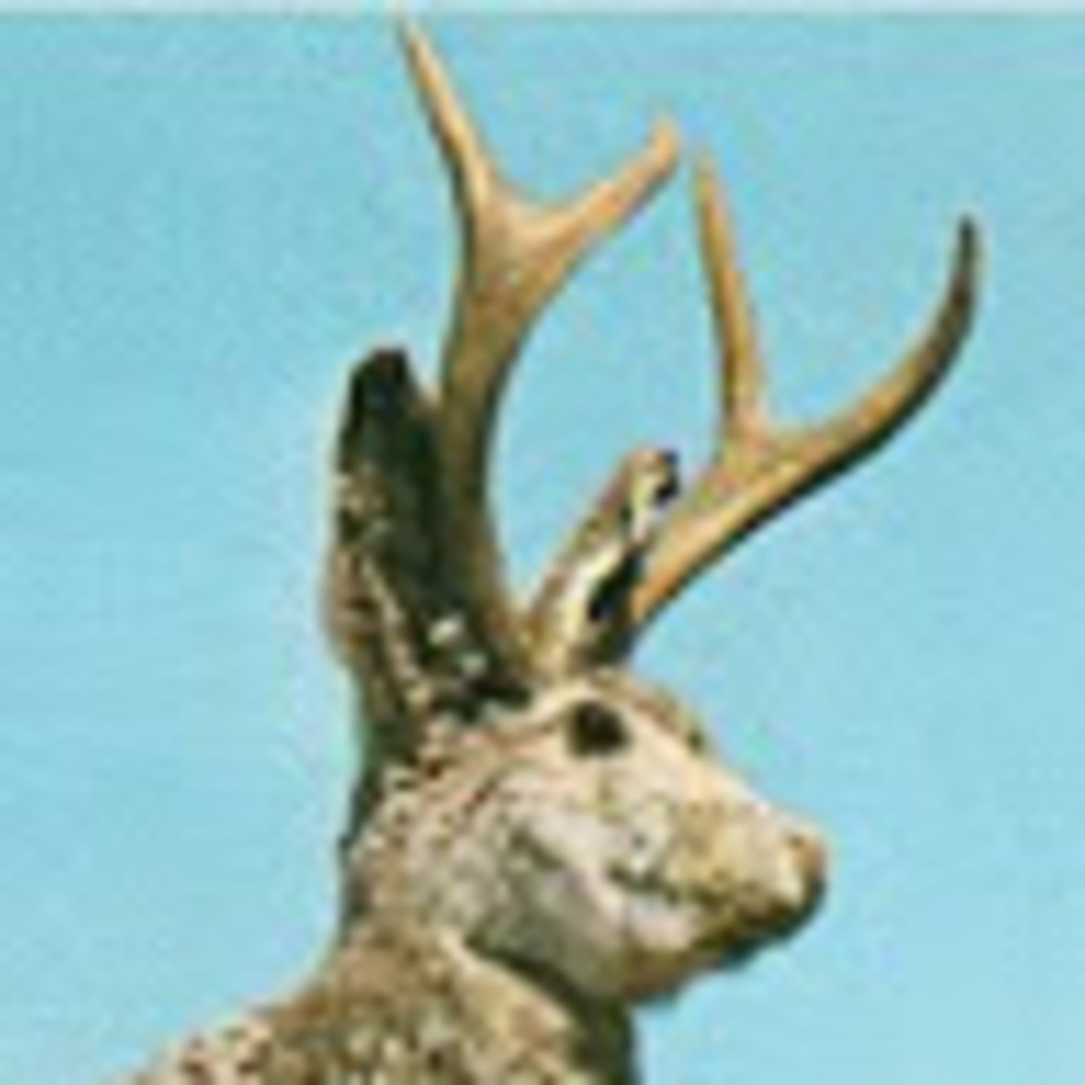 Meet your Posher, Peter